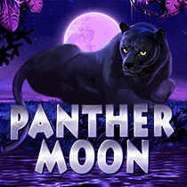 Panther Moon