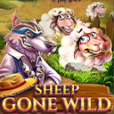 Sheep Gone Wild